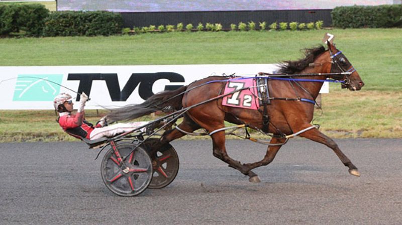 HORSE RACE モンチッチ 2体 レーシングホース HORSE RACE モンチッチ 2